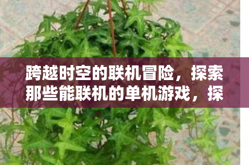 探索那些能联机的单机游戏图片