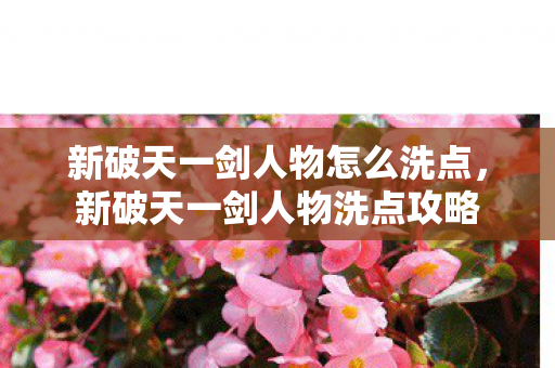 新破天一剑人物怎么洗点,新破天一剑人物洗点攻略 新破天一剑人物怎么洗点,新破天一剑人物洗点攻略