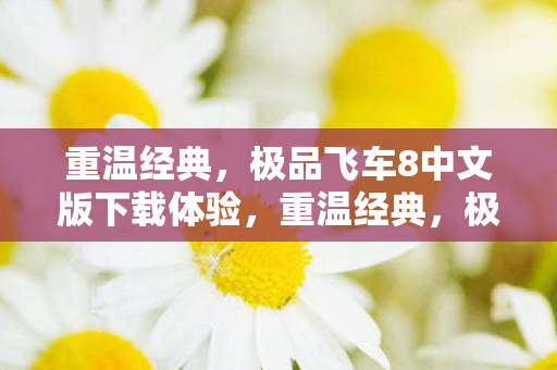 极品飞车8中文版下载体验图片