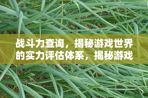 揭秘游戏世界的实力评估体系图片