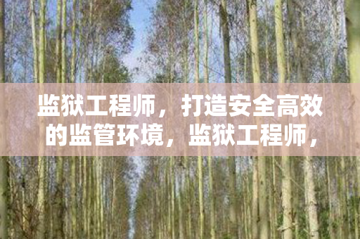 打造安全高效的监管环境图片