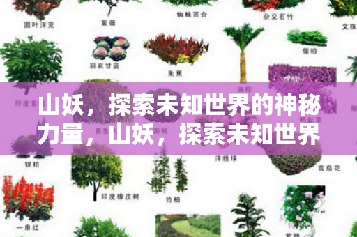 探索未知世界的神秘力量图片