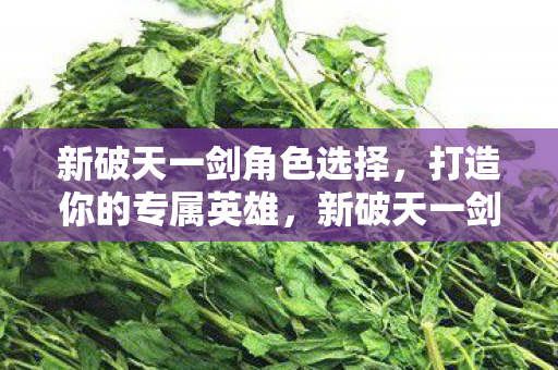 新破天一剑角色选择,打造你的专属英雄,新破天一剑,打造你的专属英雄 新破天一剑角色选择,打造你的专属英雄,新破天一剑,打造你的专属英雄