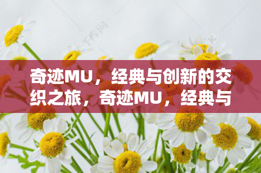 经典与创新并行的魔幻之旅图片
