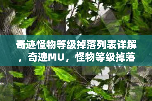 奇迹怪物等级掉落列表详解图片