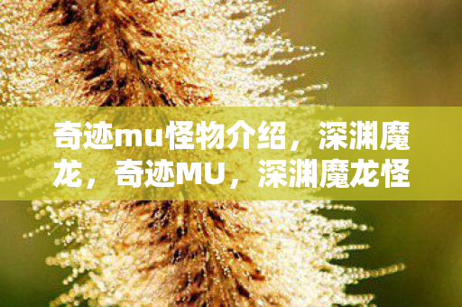 奇迹mu怪物介绍图片