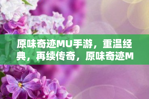 原味奇迹MU手游图片