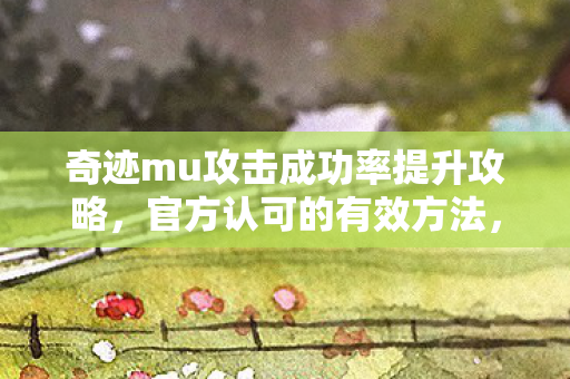 官方认可的攻击成功率提升攻略图片