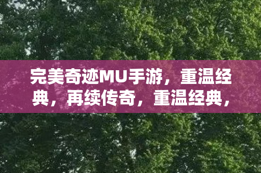 完美奇迹MU手游图片