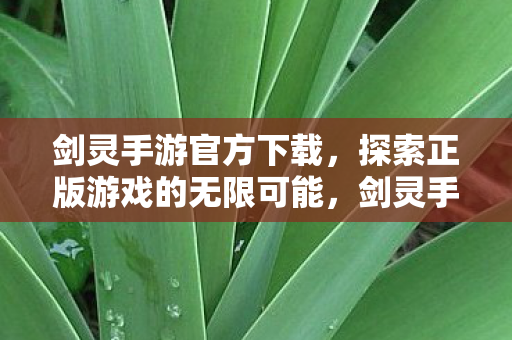 探索正版游戏的无限可能图片
