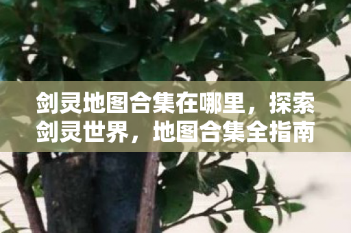剑灵地图合集在哪里图片