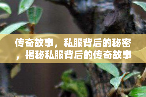 传奇故事,私服背后的秘密,揭秘私服背后的传奇故事 传奇故事,私服背后的秘密,揭秘私服背后的传奇故事
