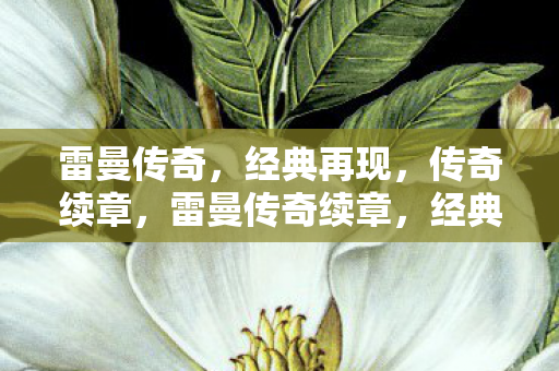 雷曼传奇,经典再现,传奇续章,雷曼传奇续章,经典再现,传奇再续 雷曼传奇,经典再现,传奇续章,雷曼传奇续章,经典再现,传奇再续