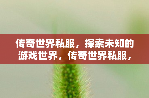 探索未知的游戏世界图片