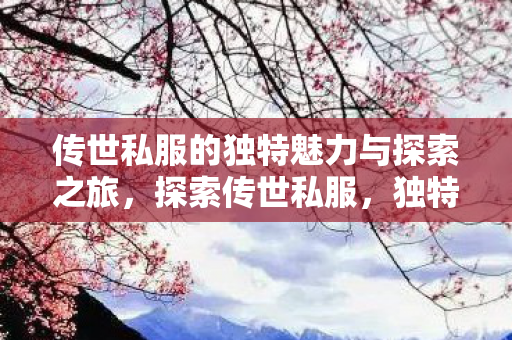传世私服的独特魅力与探索之旅图片