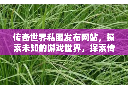 传奇世界私服发布网站图片