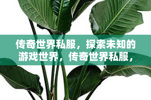 探索未知的游戏世界图片