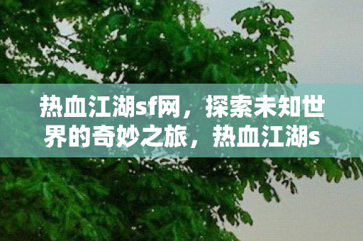 热血江湖sf网，探索未知世界的奇妙之旅，热血江湖sf网，开启探索未知世界的奇妙之旅