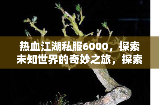 热血江湖私服6000,探索未知世界的奇妙之旅,探索热血江湖私服6000,奇妙之旅开启 热血江湖私服6000,探索未知世界的奇妙之旅,探索热血江湖私服6000,奇妙之旅开启