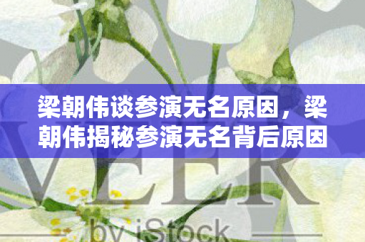 梁朝伟揭秘参演无名背后原因图片