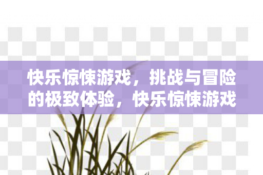 挑战与冒险的极致体验图片