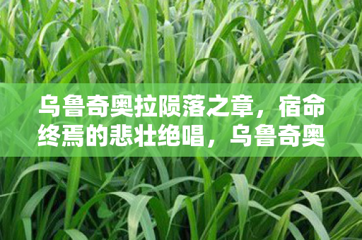 乌鲁奇奥拉陨落之章图片