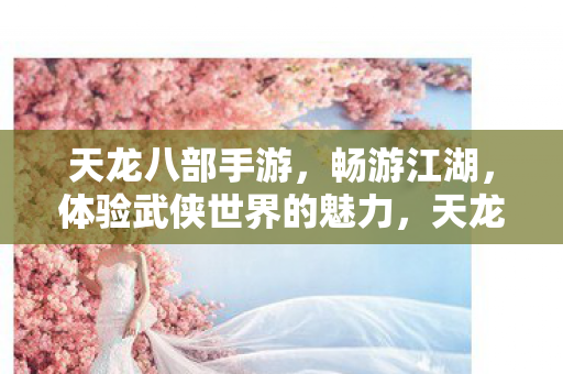 体验武侠世界的魅力图片