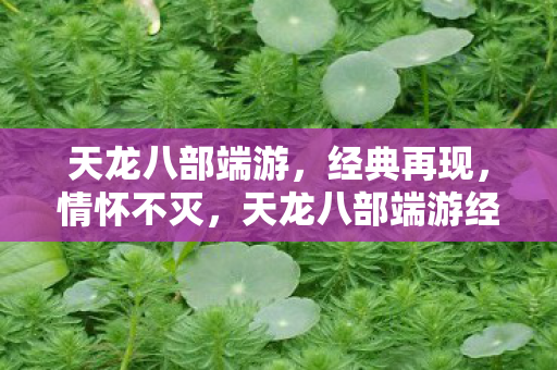 天龙八部端游经典再现图片