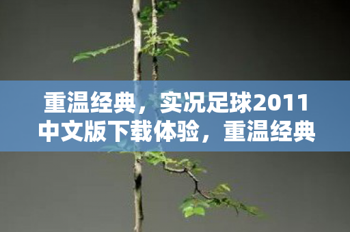 实况足球2011中文版下载体验图片