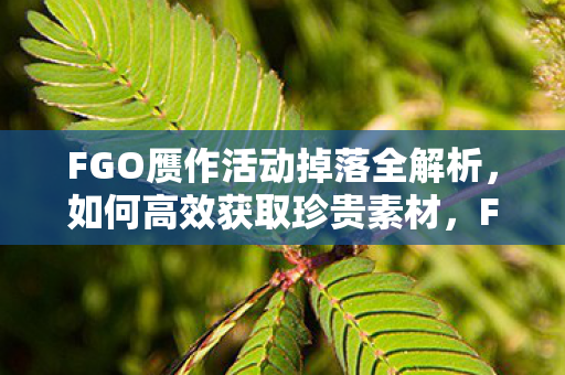FGO赝作活动掉落全解析图片