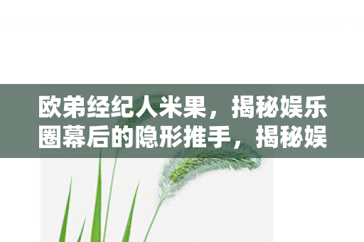 揭秘娱乐圈幕后的隐形推手图片