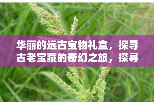 探寻古老宝藏的奇幻之旅图片