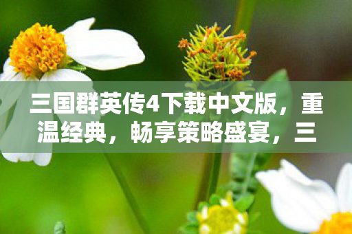 三国群英传4下载中文版图片