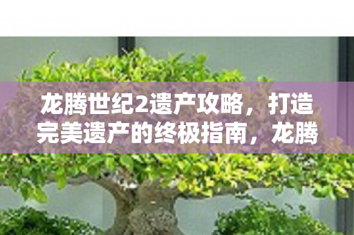 打造完美遗产的终极指南图片