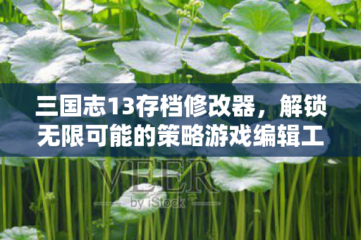 解锁无限可能的策略游戏编辑工具图片