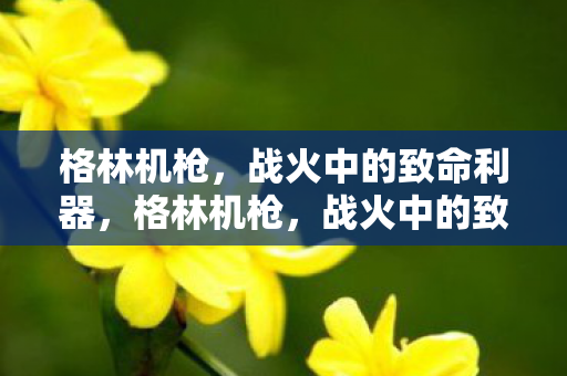 战火中的致命利器图片