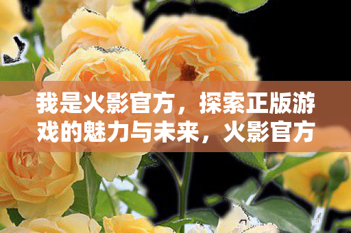 探索正版游戏的魅力与未来图片