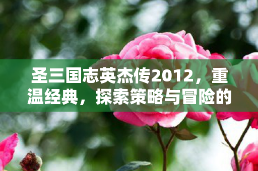 探索策略与冒险的无限可能图片