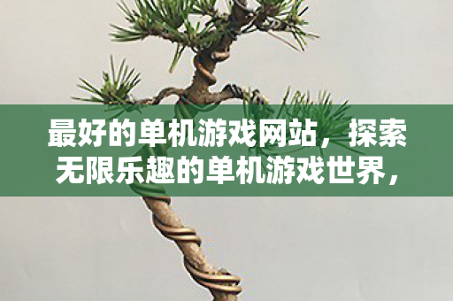 探索无限乐趣的单机游戏世界图片