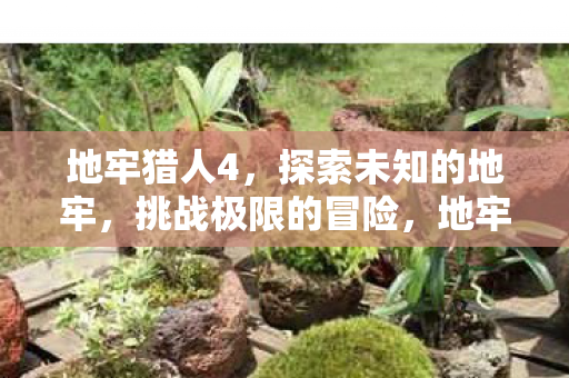 挑战极限的地下冒险之旅图片