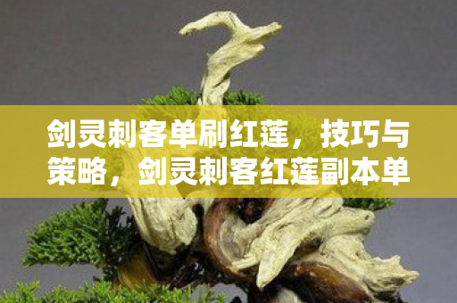 剑灵刺客红莲副本单刷攻略图片