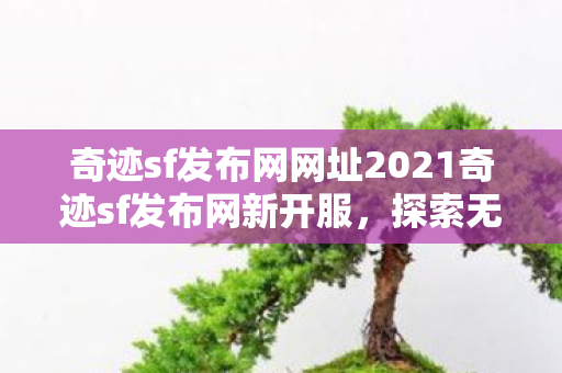 奇迹sf发布网网址2021奇迹sf发布网新开服图片