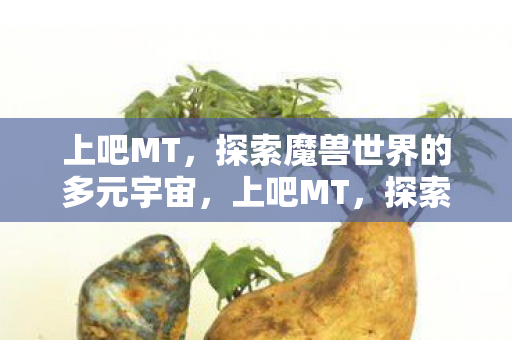 探索魔兽世界的多元宇宙之旅图片