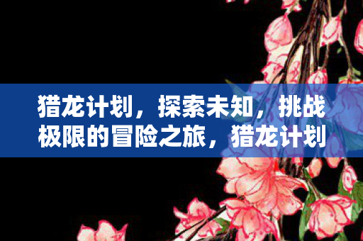 挑战极限的冒险之旅图片