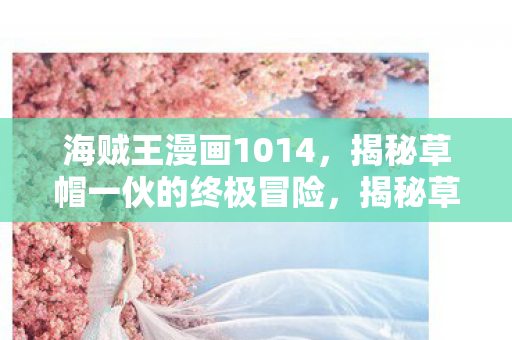 海贼王漫画1014震撼登场图片