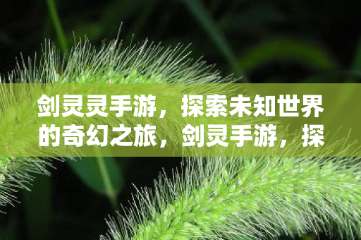 探索未知世界的奇幻之旅图片