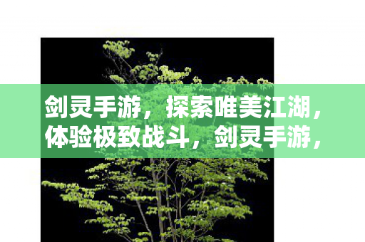 探索唯美江湖图片