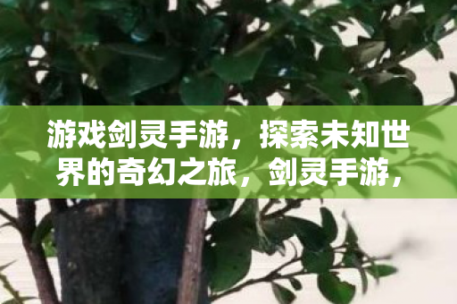 探索未知世界的奇幻冒险之旅图片