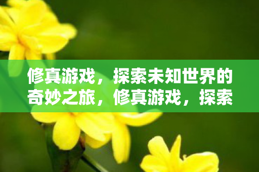 探索未知世界的奇妙之旅图片