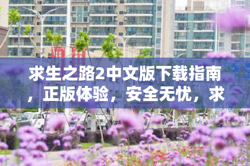 求生之路2中文版下载指南图片